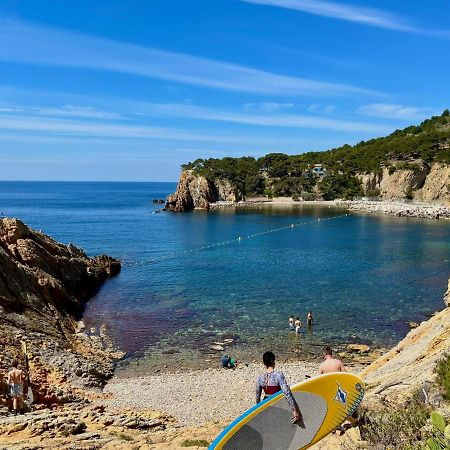 Appartement Au Calme, Calanque Des Figuieres 昂叙埃拉雷东 外观 照片